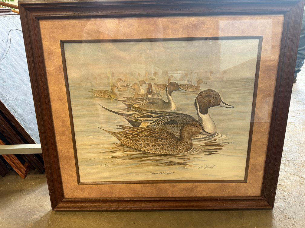 Framed Tan Brunet 'Foggy Flat Pintails' Art Print