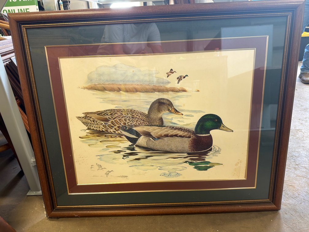Dan Brunet Framed Mallard Ducks Art Print