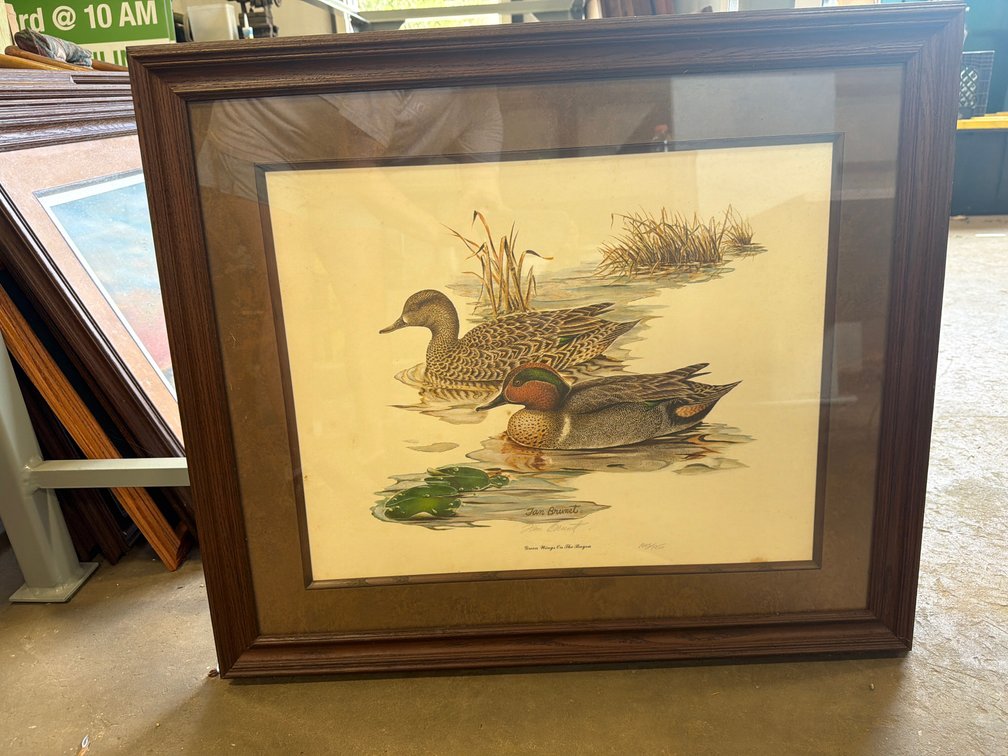 Framed Tan Brunet Duck Art Print
