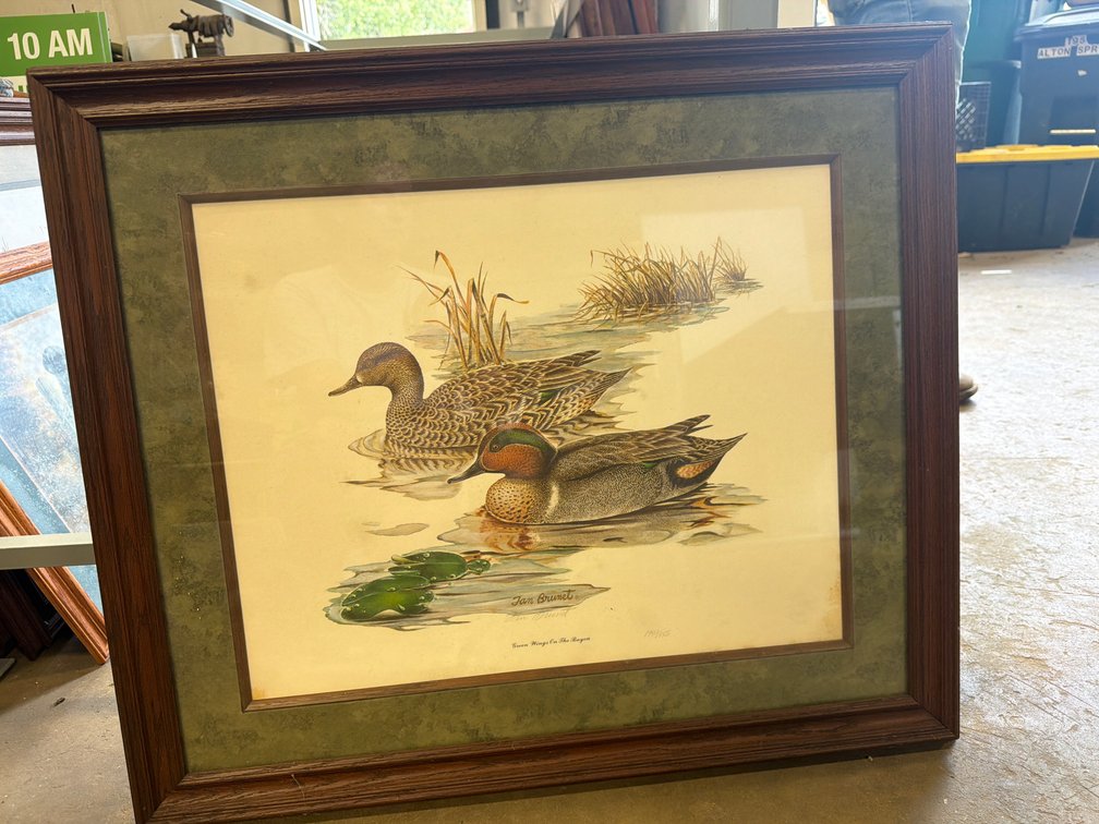 Tan Brunet 'Green Wings On The Bayou' Framed Print