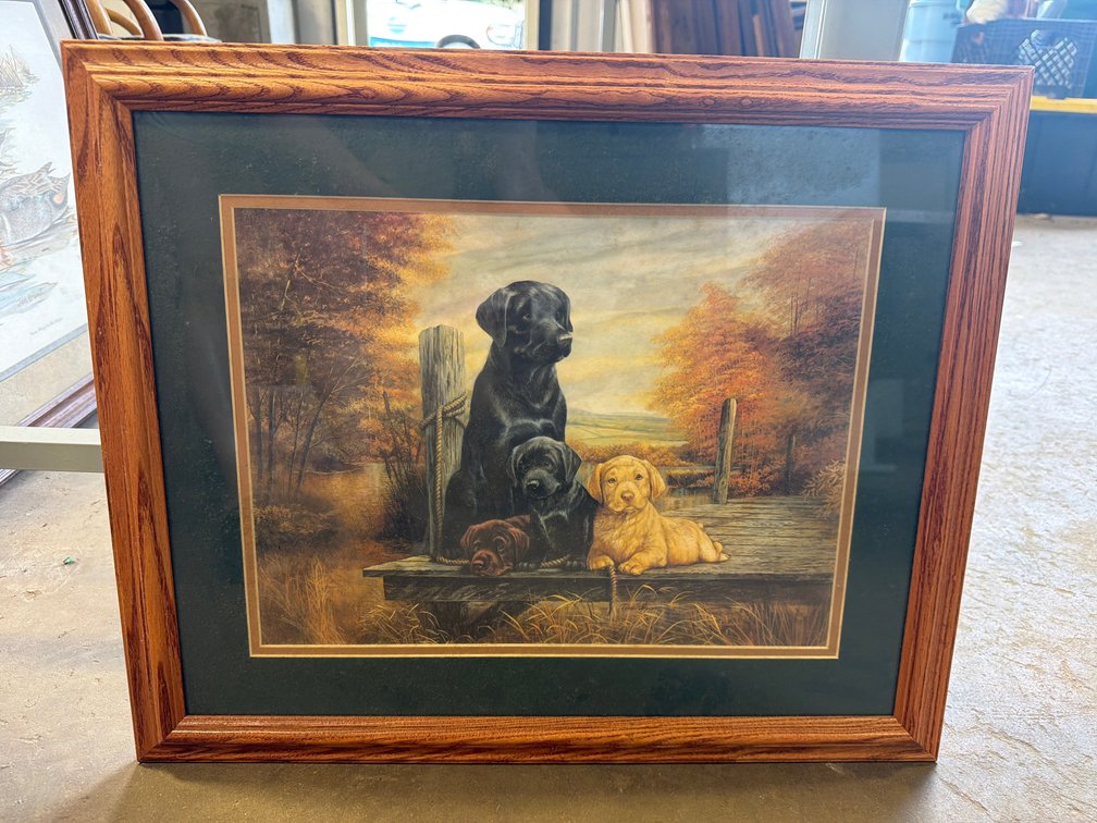Framed Labrador Retriever Print