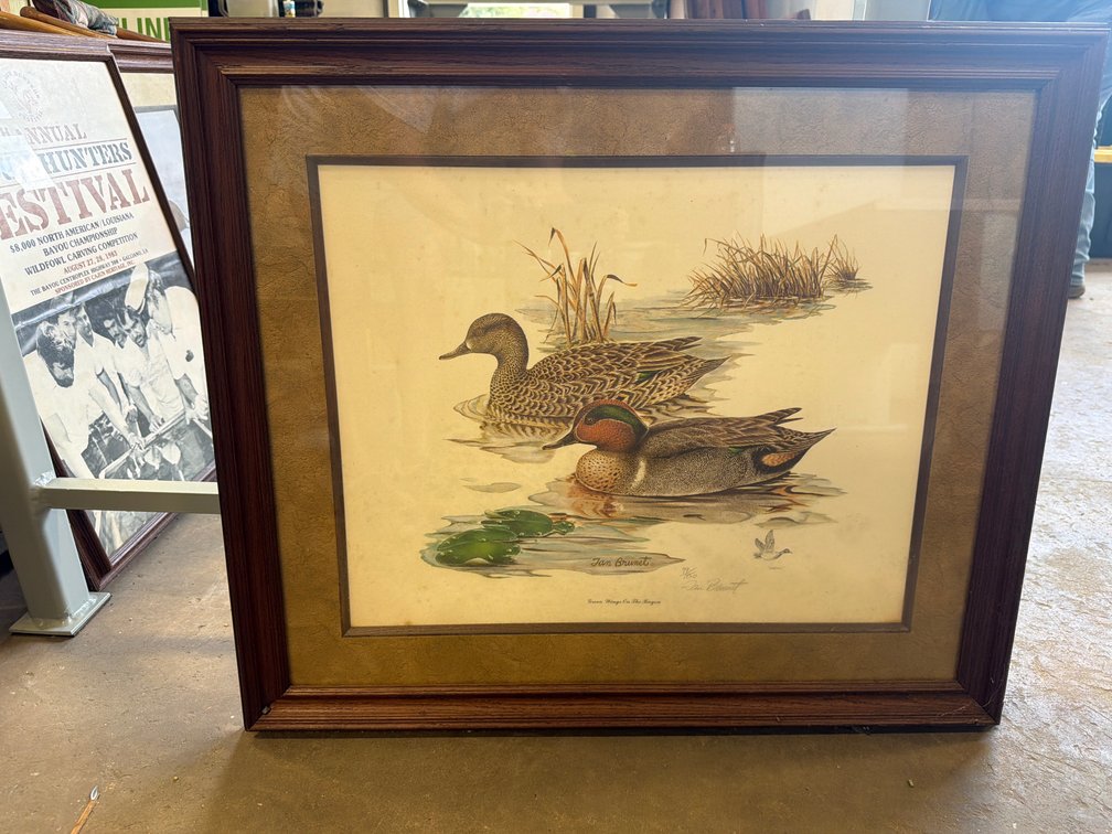 Tan Brunet "Green Wings On The Bayou" Framed Art Print