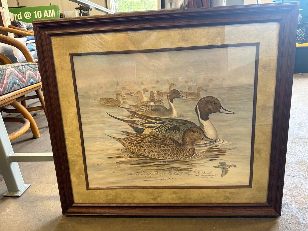 Tan Brunet Foggy Flat Pintails Framed Art Print
