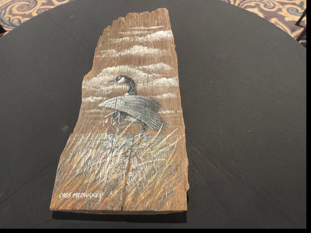 Canadian Goose Drift wood