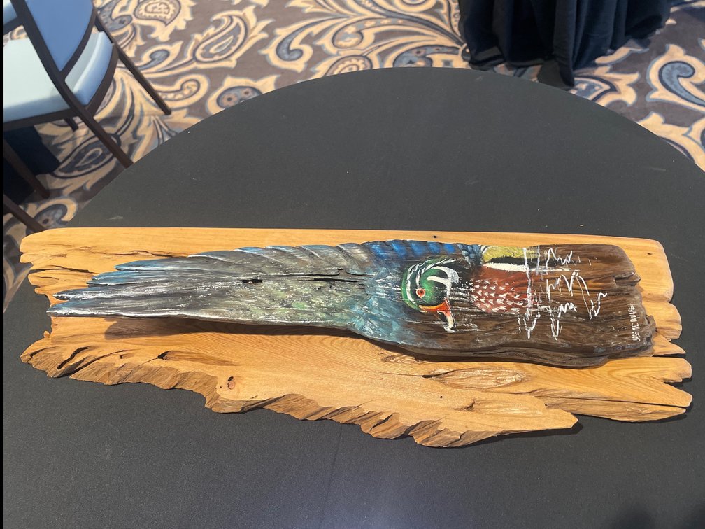 Drake wood duck on driftwood