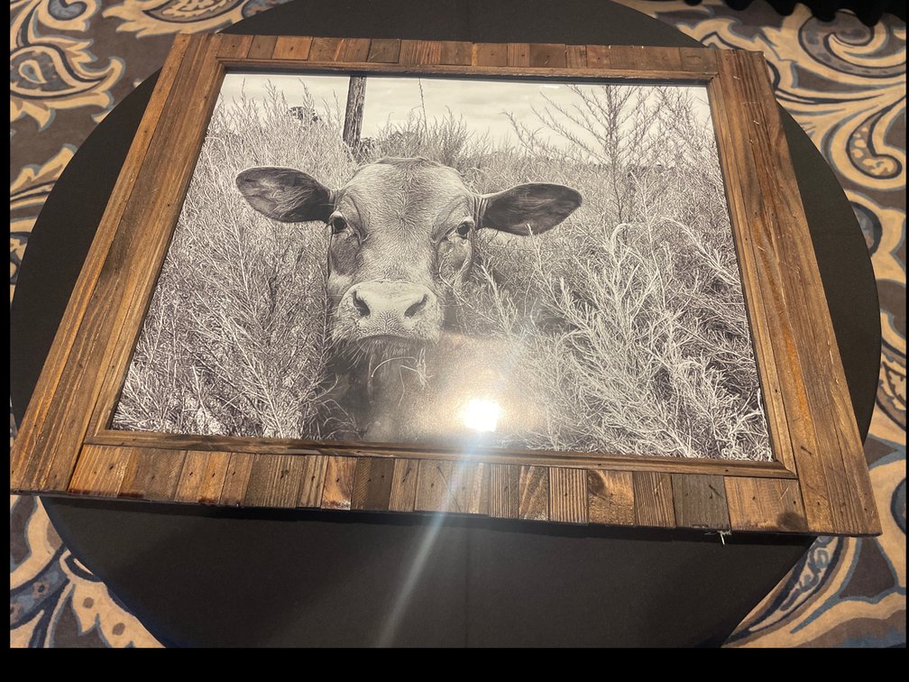 Calf Picture 