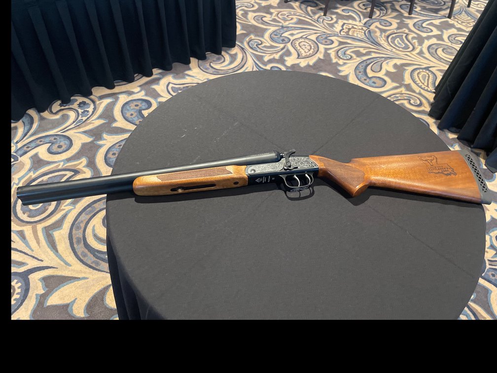 12 gauge Stagecoach 
