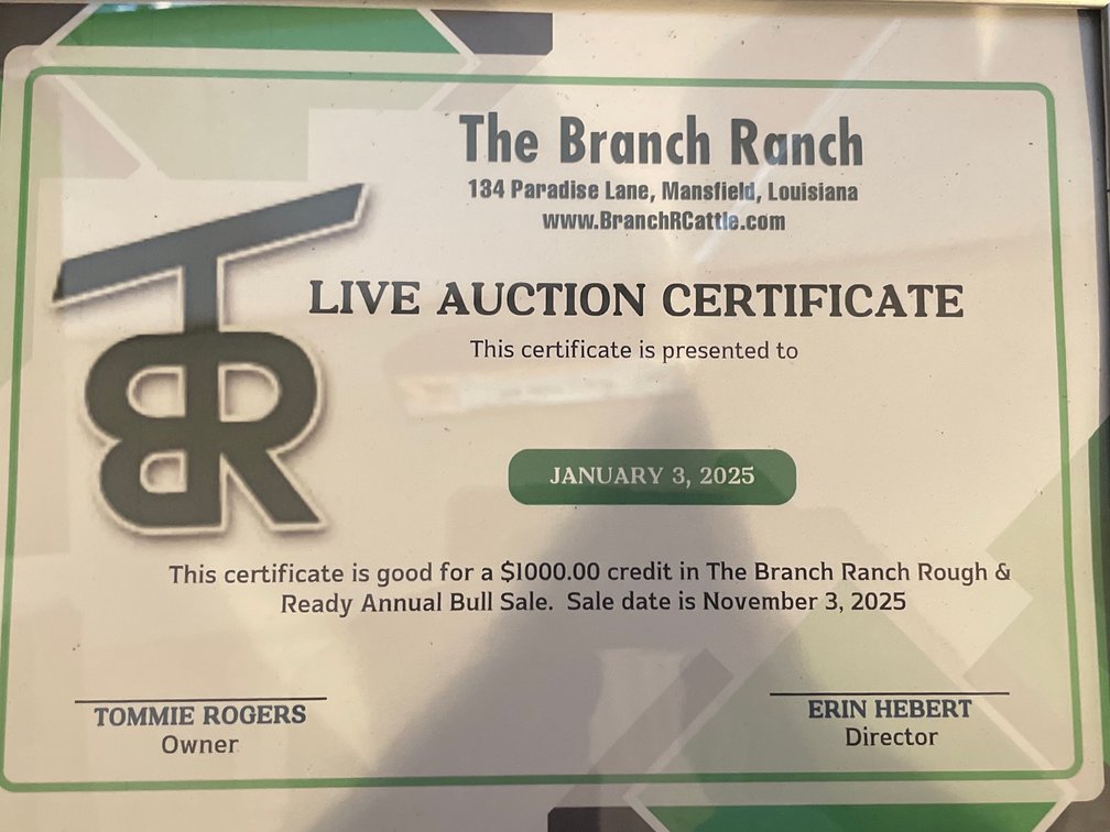 1,000 Credit Branch Ranch Rough Ready Bull Sale