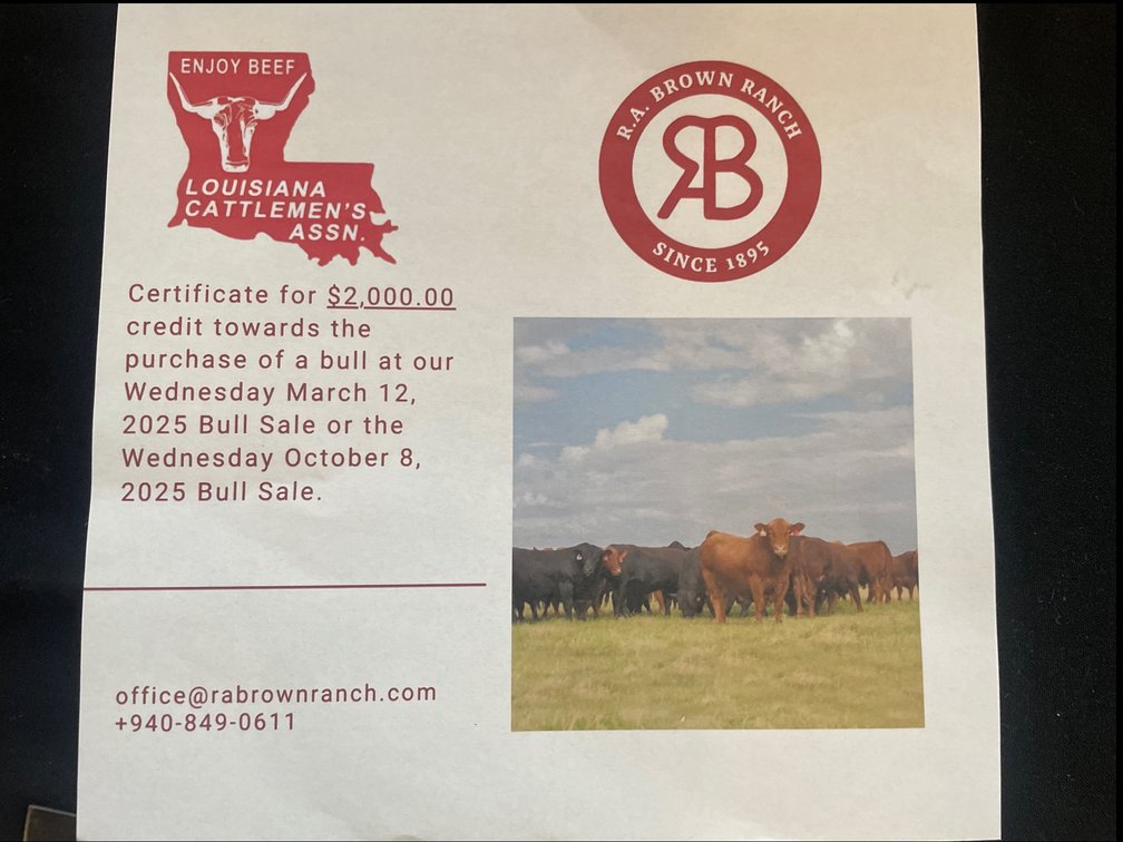 $2,000 Bull Sale at T.A. Brown Ranch