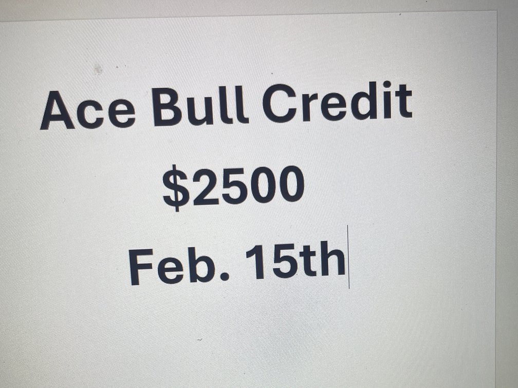 ACE Bull Sale Credit