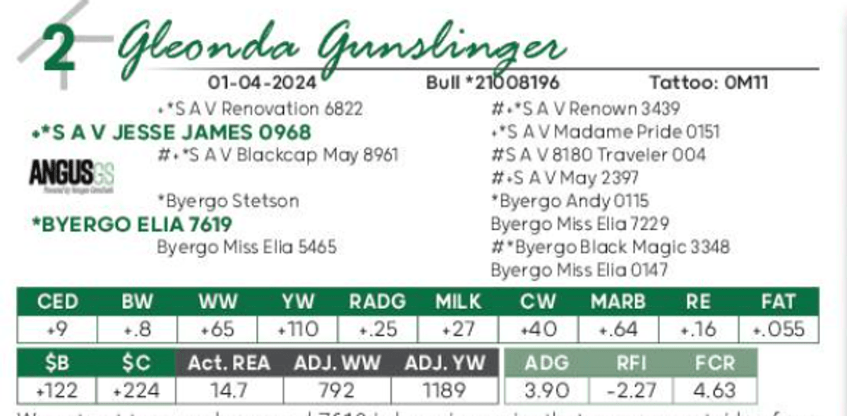 Image for Gleonda Angus Farms 65th Anniversary Sale
