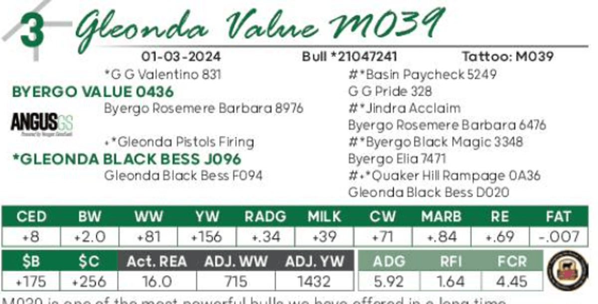 Image for Gleonda Angus Farms 65th Anniversary Sale
