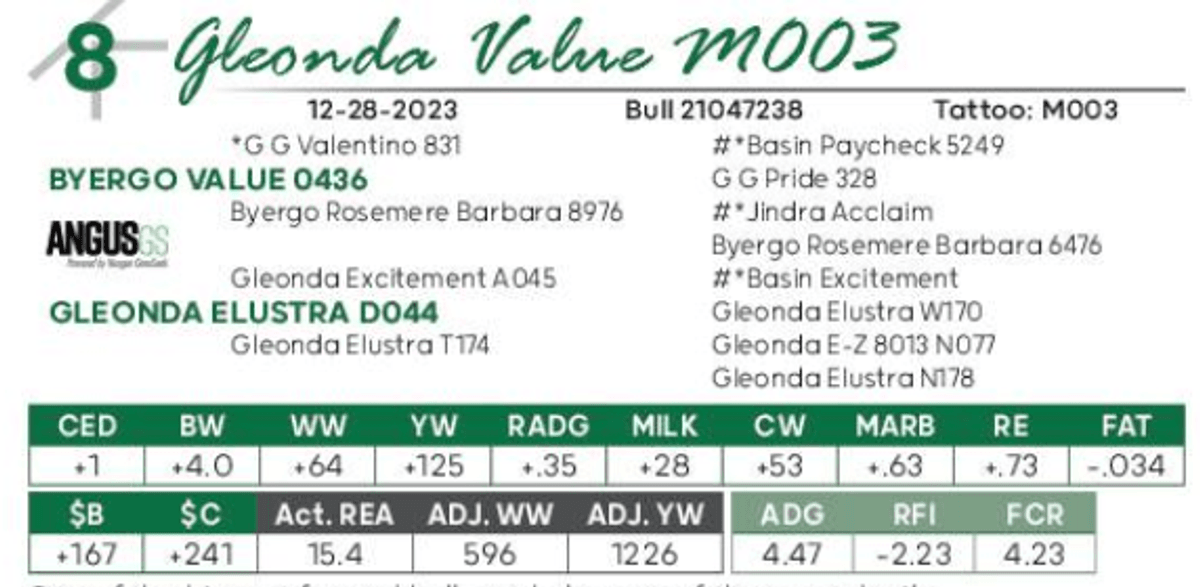 Lot 8