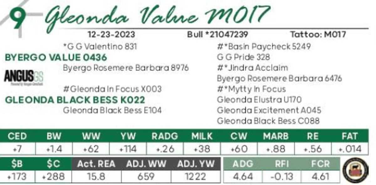 Lot 9