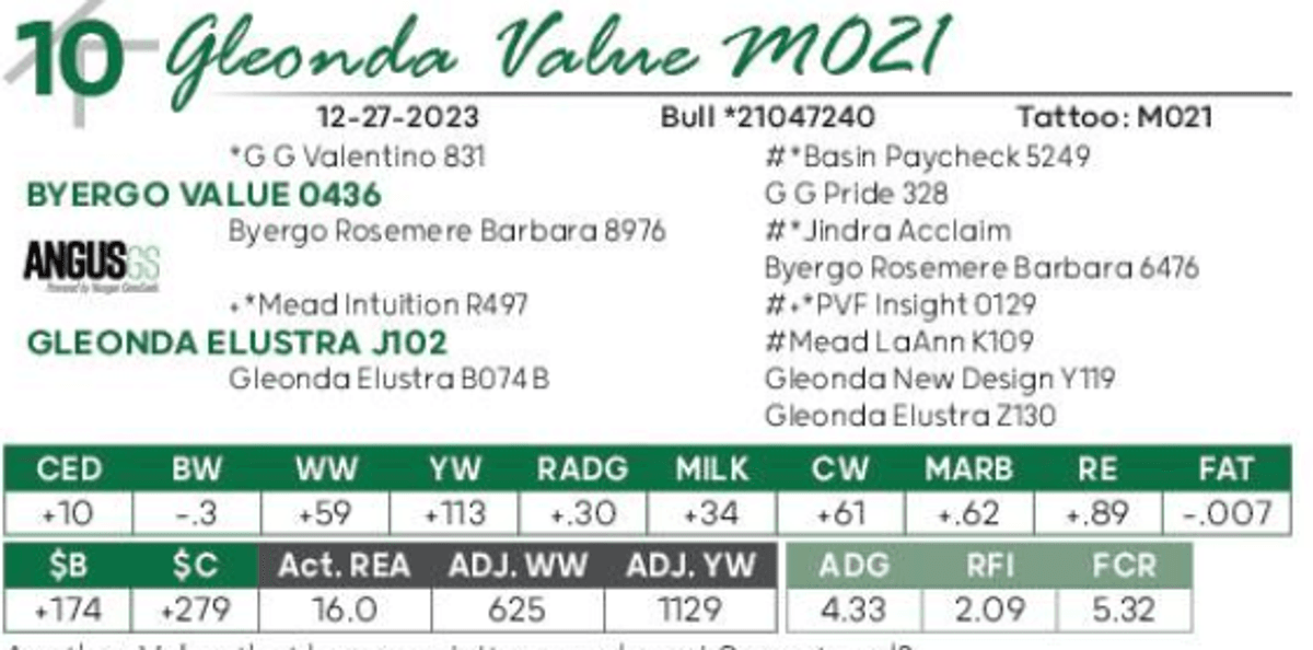 Lot 10