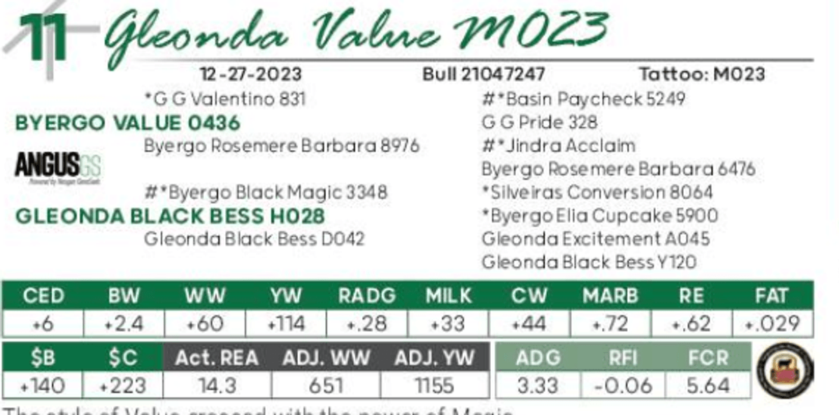 Lot 11