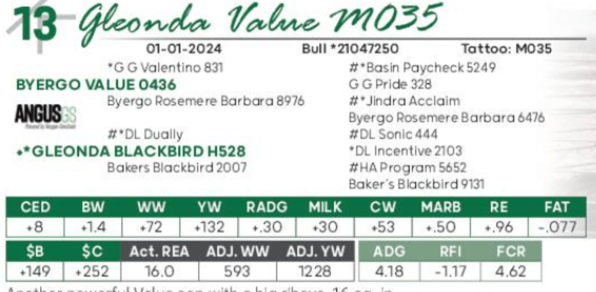 Lot 13