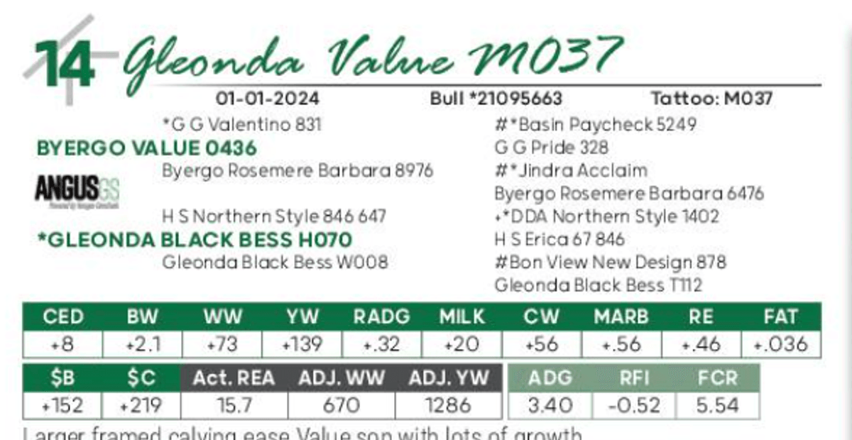 Lot 14