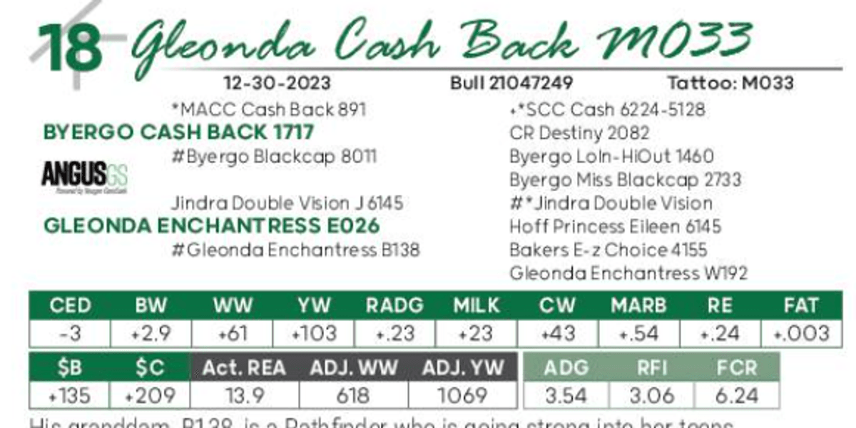 Lot 18