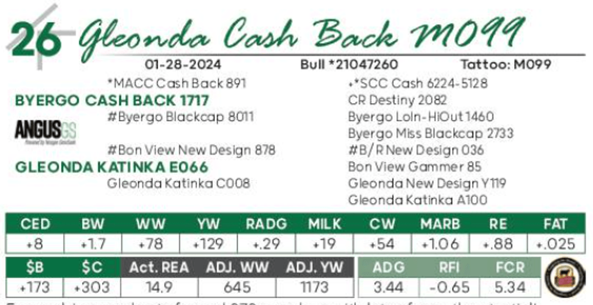Lot 26