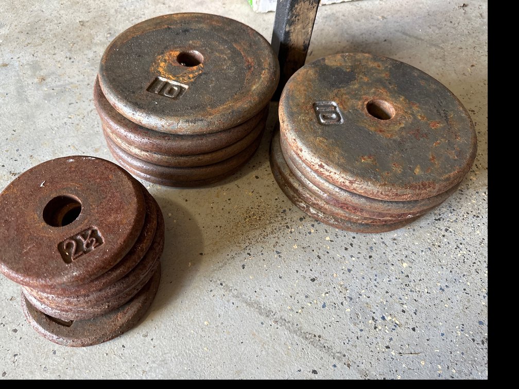 2 1/2 and 10 Pound Barbell Weights 