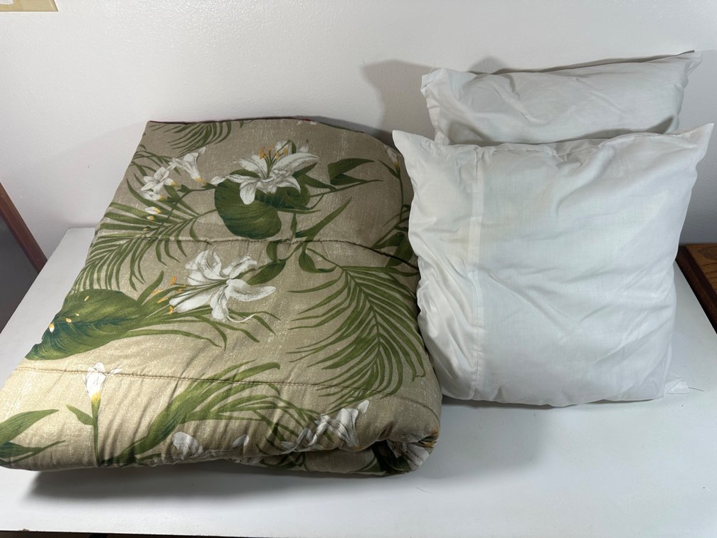 Island Style Queen Size Comforter and Two Throw Pillow Inserts 