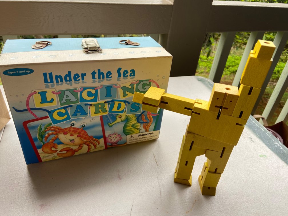 Under the sea Lacing cards and block figure toy