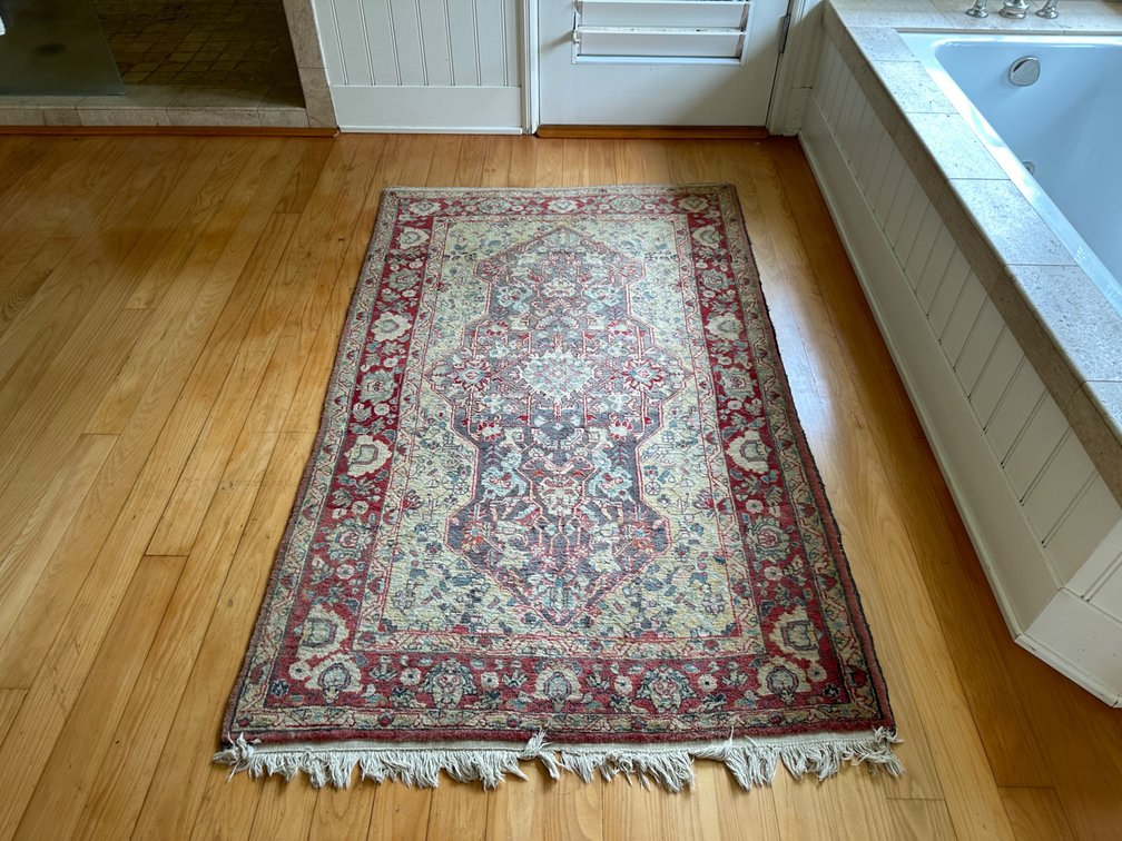 Sarouk Rug with Historic Charm