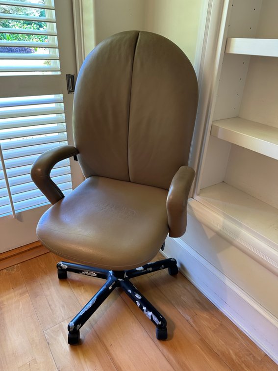 Contemporary Executive Office Chair