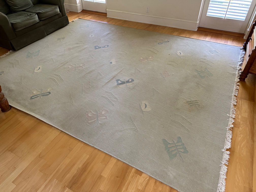Vintage Butterfly Carpet from Alicia King's Noela Residence