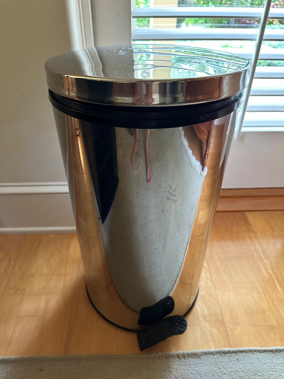Chrome-Finished Step-to-Open Garbage Can
