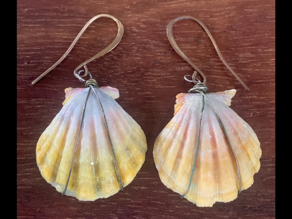 Sunrise Shell Earrings