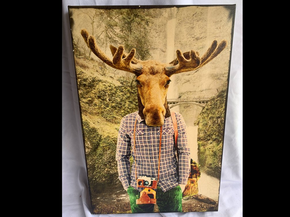 Moose Artwork