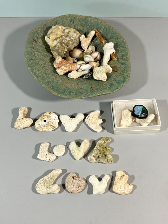 Assorted Collection of Shells, Coral, and Decorative Items