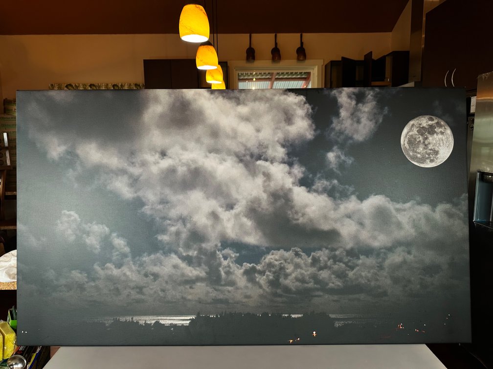 Nightscape with Full Moon - Canvas Print