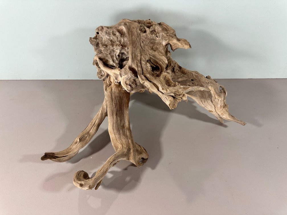 Driftwood Art Piece