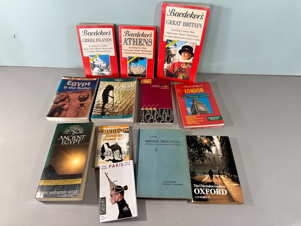 Collection of Travel Guides and Language Books