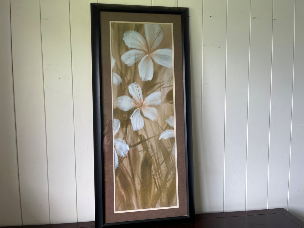 Long Black Framed Plumeria Print Art