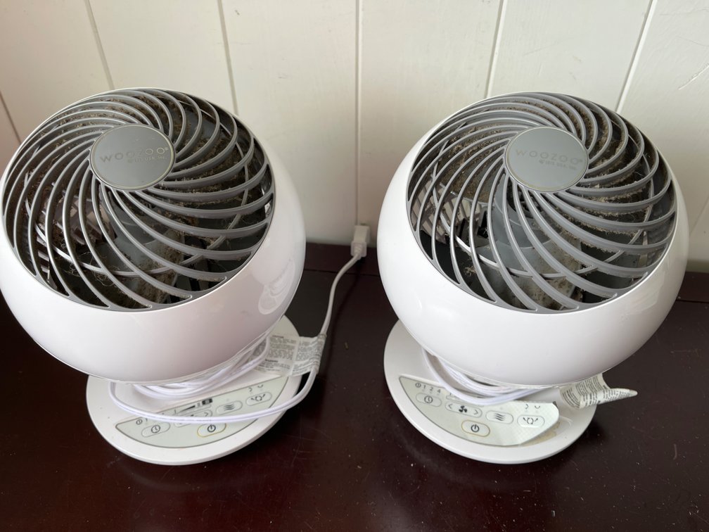 2 xs Woozoo Fans