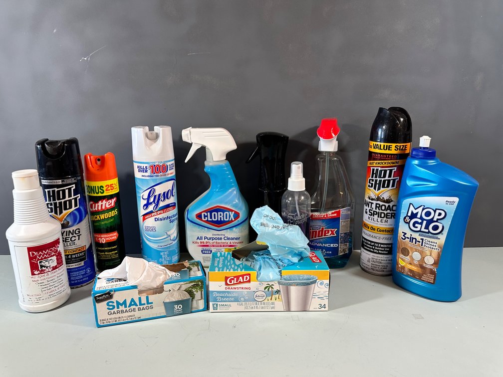 Essential Household Cleaning and Maintenance Kit
