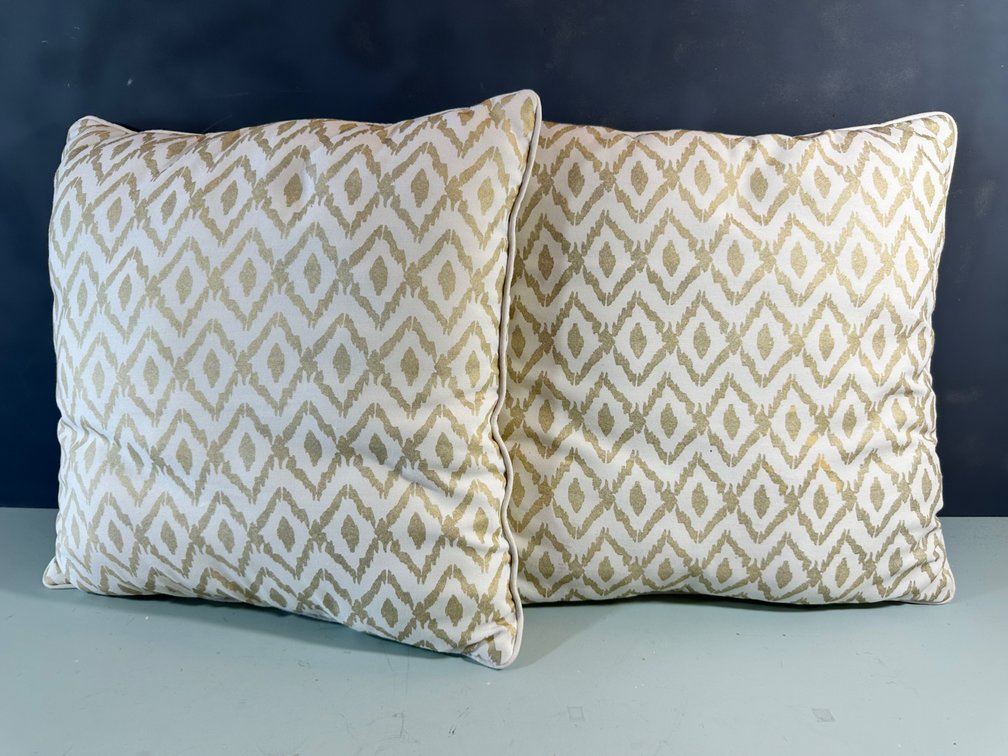 (X's 2) Elegant Decorative Throw Pillows