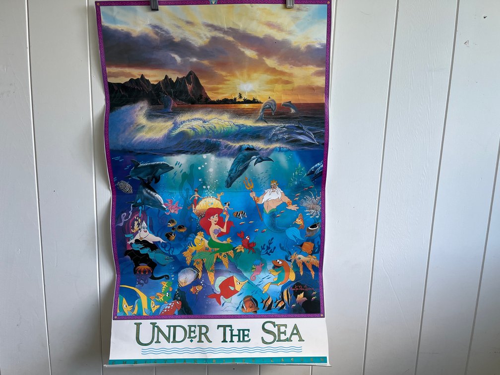 Under the Sea Poster