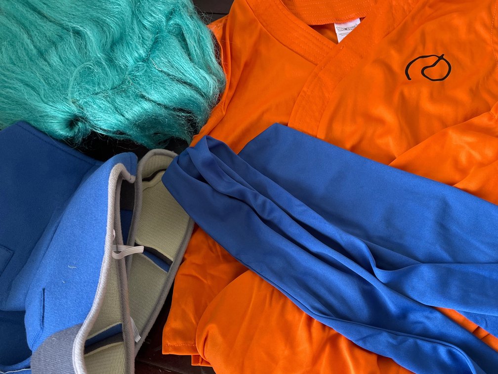 Dragonball Z Goku Costume