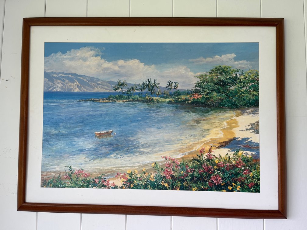 Beautiful Large Wooden Framed Island Print