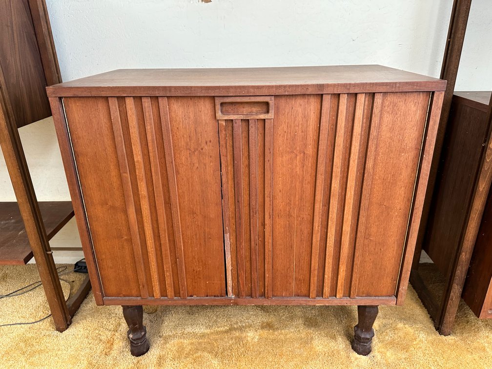 Mid-Century Modern Style Cabinet with Double Doors