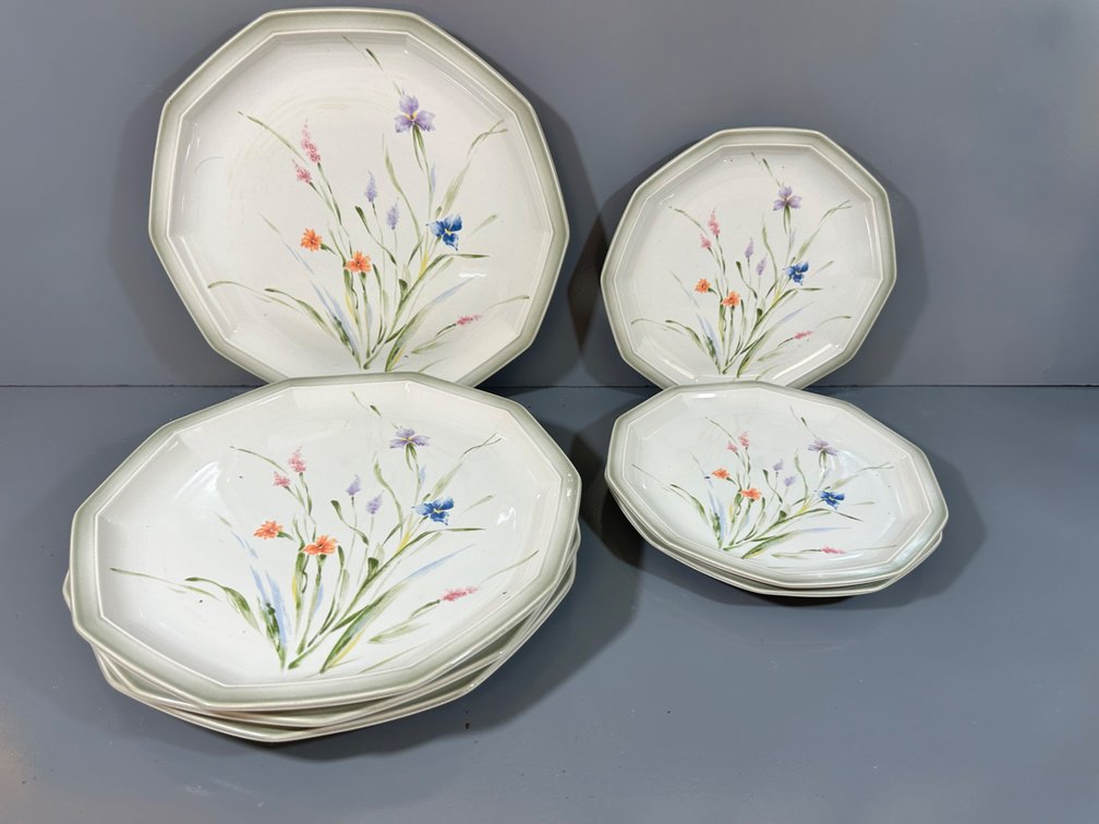 Mikasa Nature's Garden Alpine Meadow Dinner and Salad Plate Set