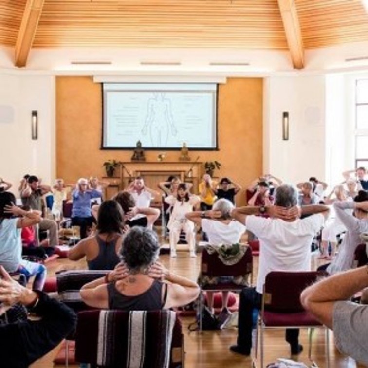 Qigong Classes From Grateful Moments