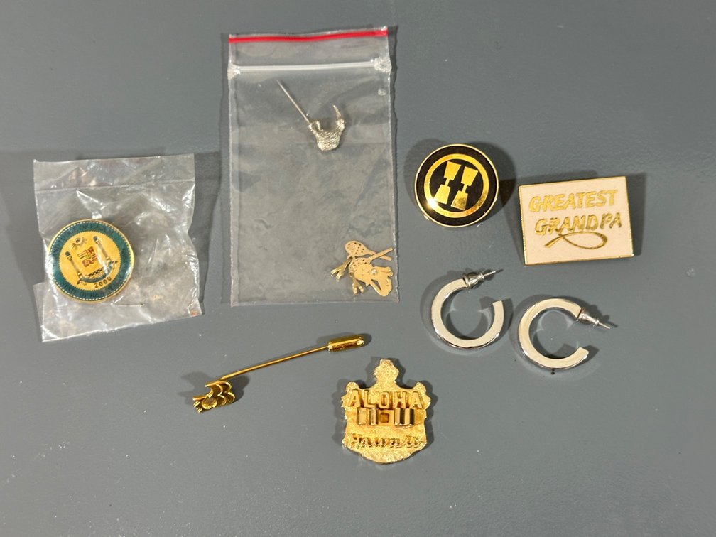 Assorted Pins and Jewelry Collection