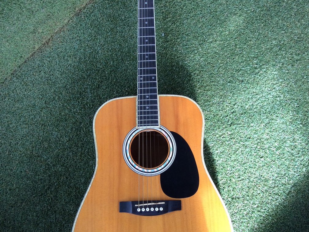 Esteban AL-100 acoustic guitar 