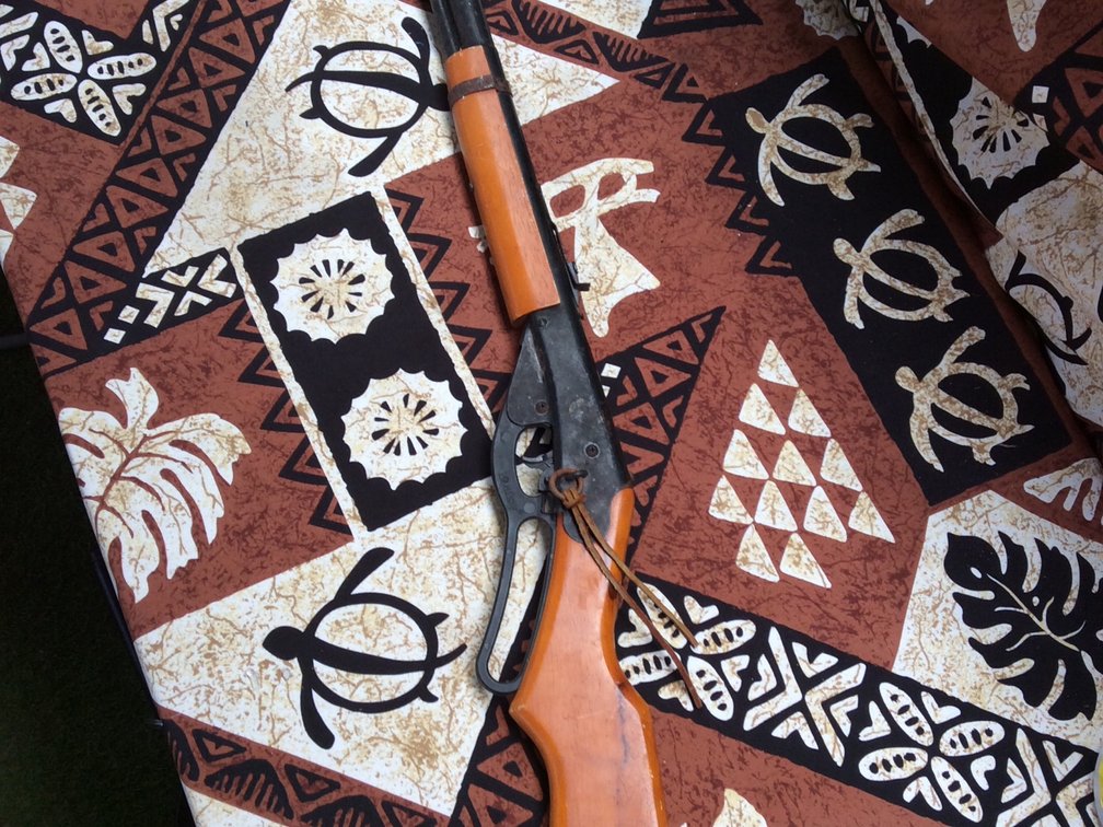 Vintage daisy bb gun